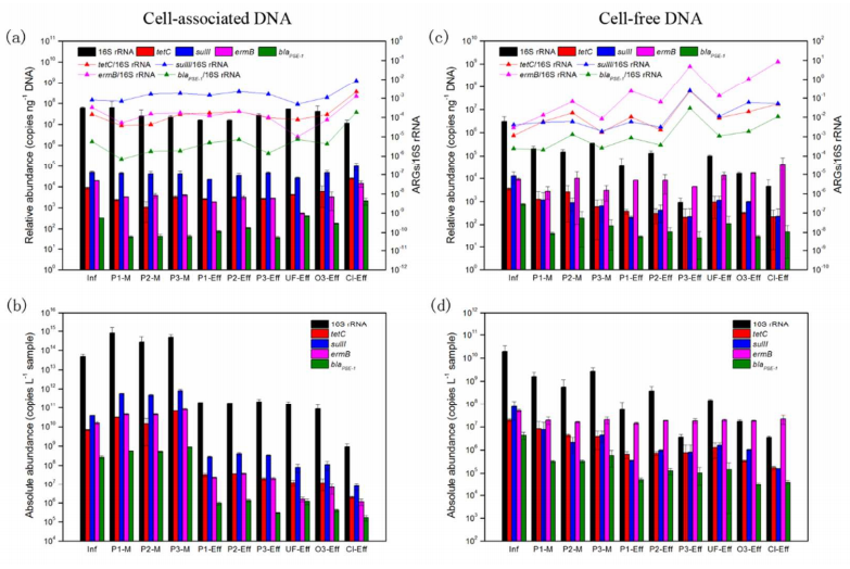 cell free dna a neglected source for antibiotic resistance genes spreading from wwtps 抗性基因网