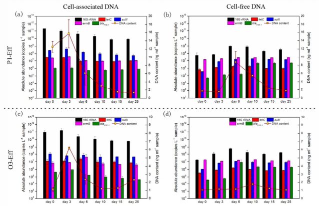 cell free dna a neglected source for antibiotic resistance genes spreading from wwtps 抗性基因网